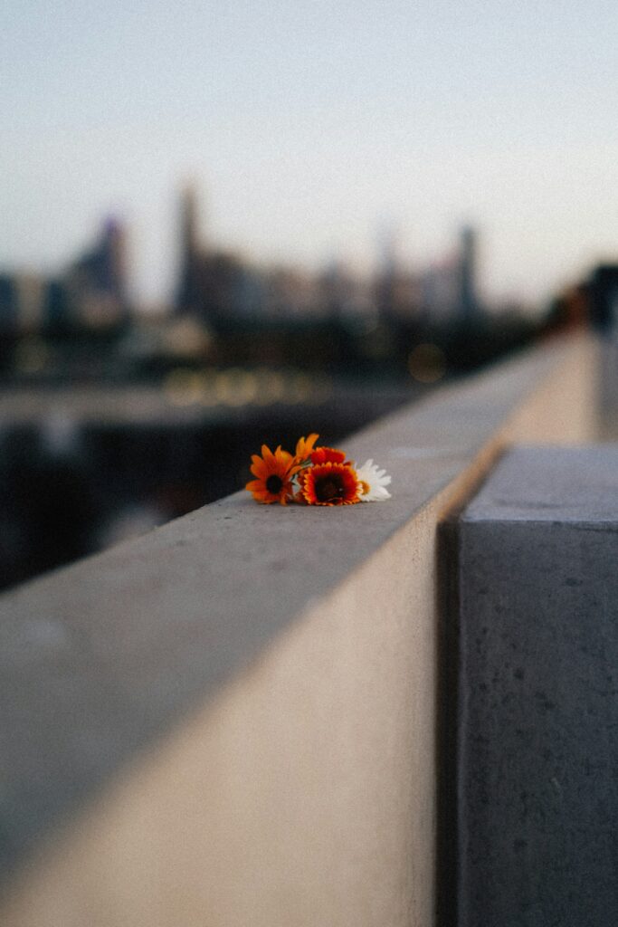 brooke-balentine-dWrxfxfBrcw-unsplash